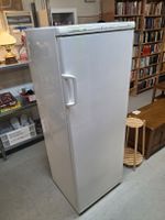 Gefrierschrank Iberna Eco, H: 162.5 cm, B: 59.5 cm, T: 56 cm