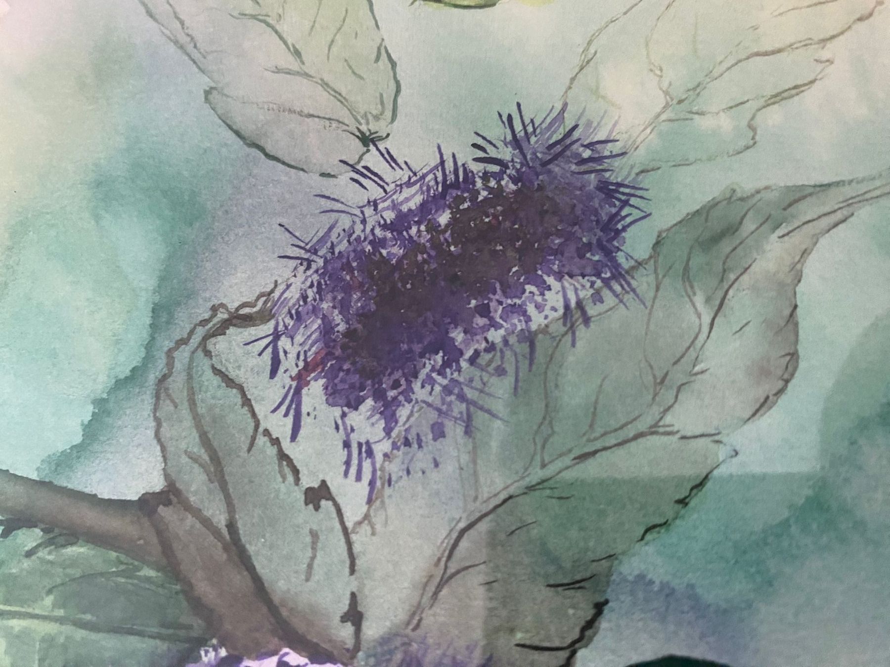 Dipinti: Aquarell, gerahmt, verglast – Usato da Chur venduto da bemaha 1