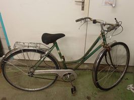 Allegro Damenfahrrad, ideales Herbstprojekt, Vintage!