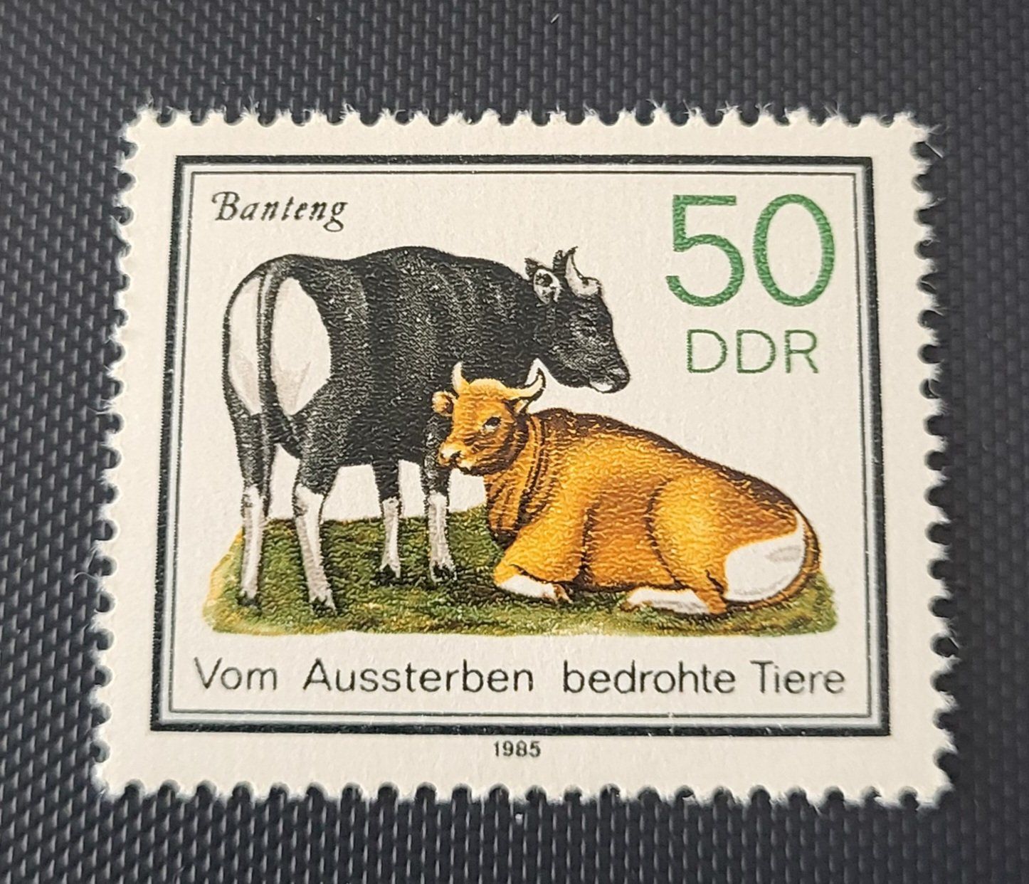 Tutti i francobolli: DDR 1985 briefmarke – Usato da St Gallen venduto da Stampsalshobby