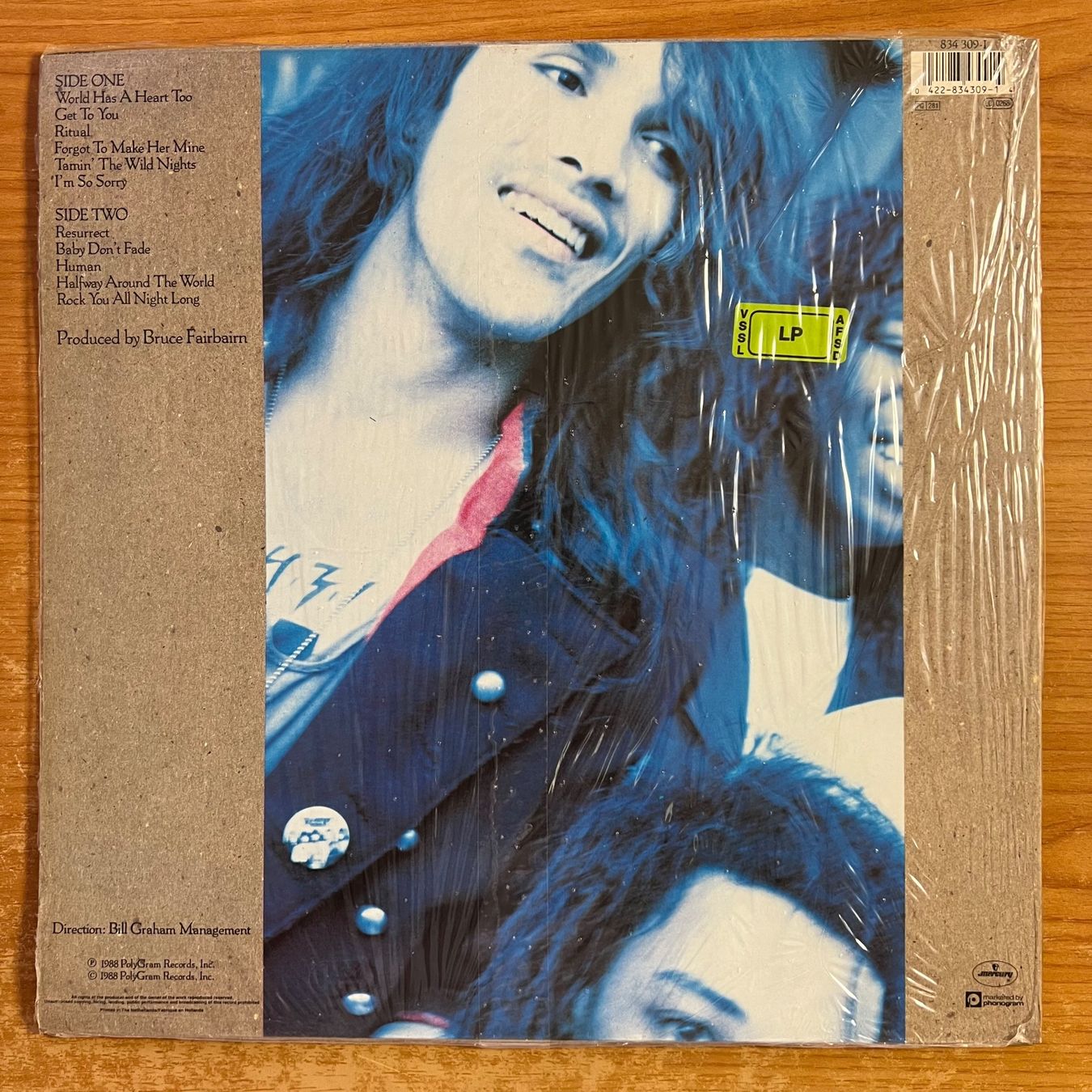 Vinyles: Dan Reed Network - Same / 1. NL-Press. 1988 - Very nice Copy – D'occasion à Gais par soundcave57 1