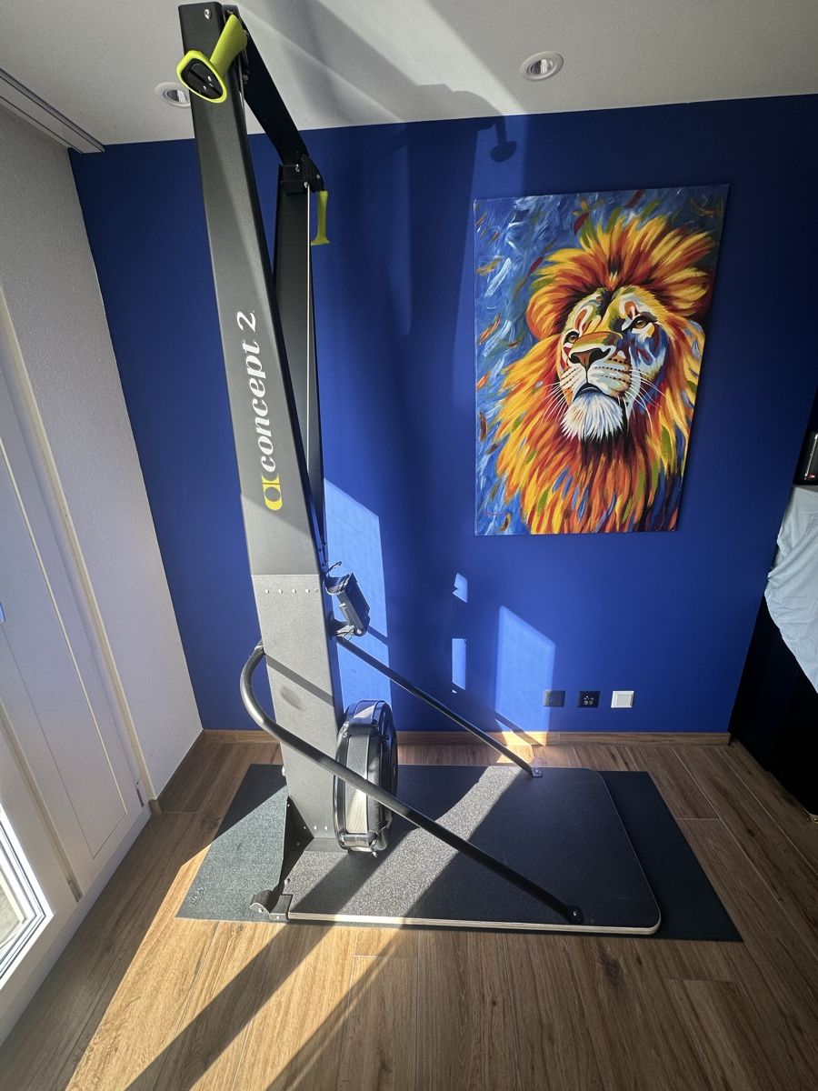 Concept 2 Hometrainer: Concept 2 Ski Machine | SkiErgometer Trainingsgerät guter Zu – Neu (gemäss Beschreibung) aus Frauenfeld von zah_2wqj 1