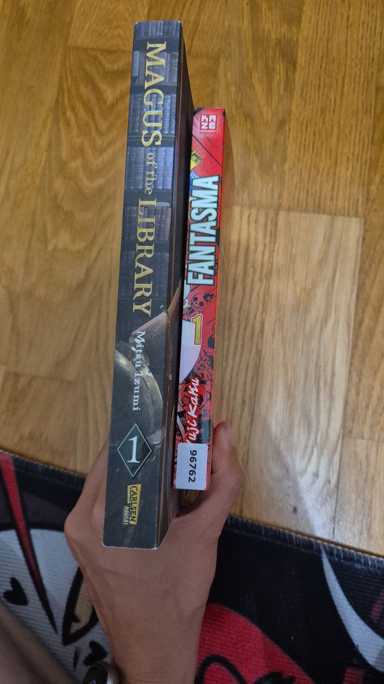 BD: Mangas Div. – D'occasion à Bonaduz par Crypwolffan 3