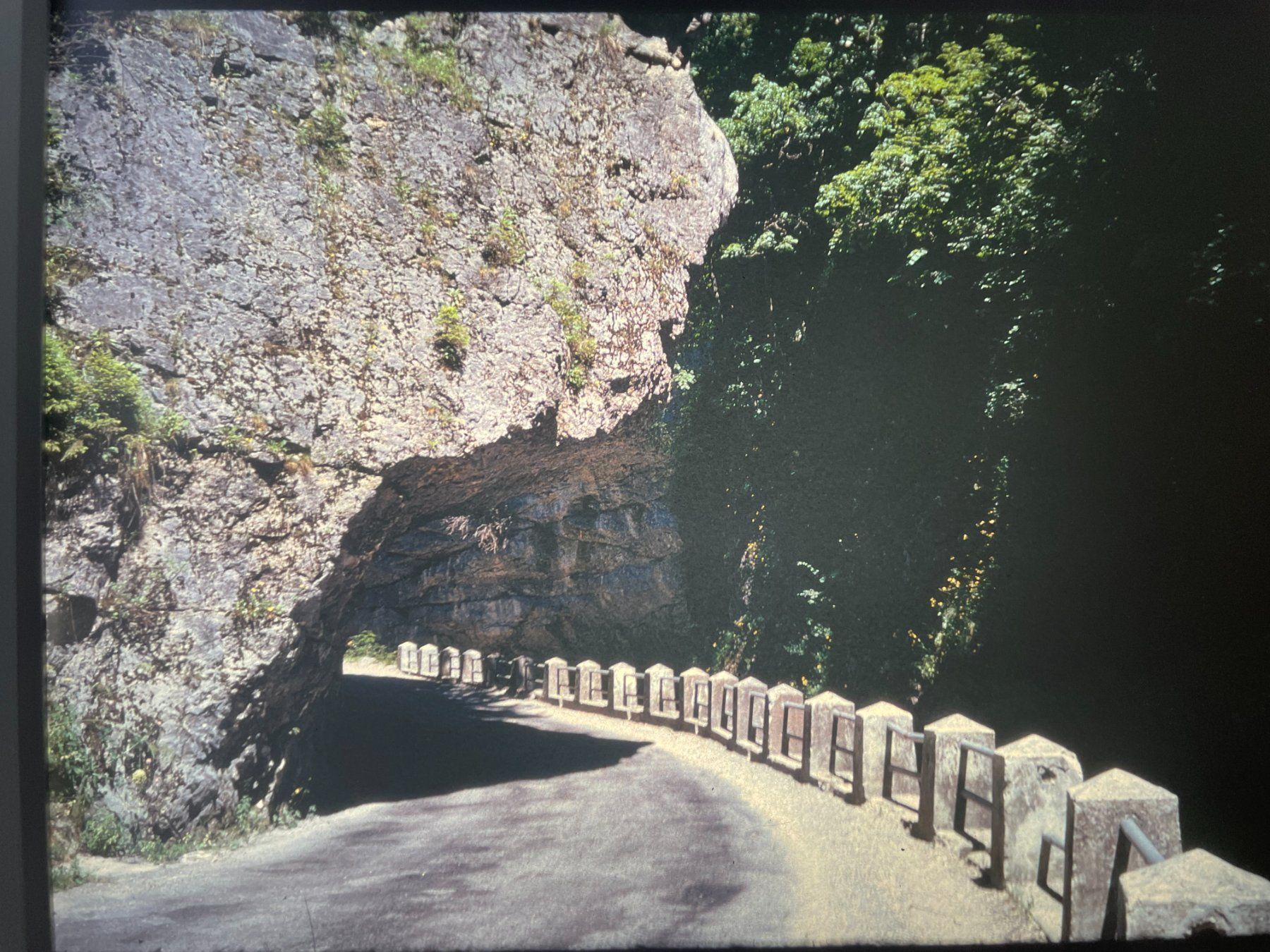 Foto & Immagini: Diapositives Vercors 1974 – Usato da Petit Lancy venduto da gil_hr6v 4
