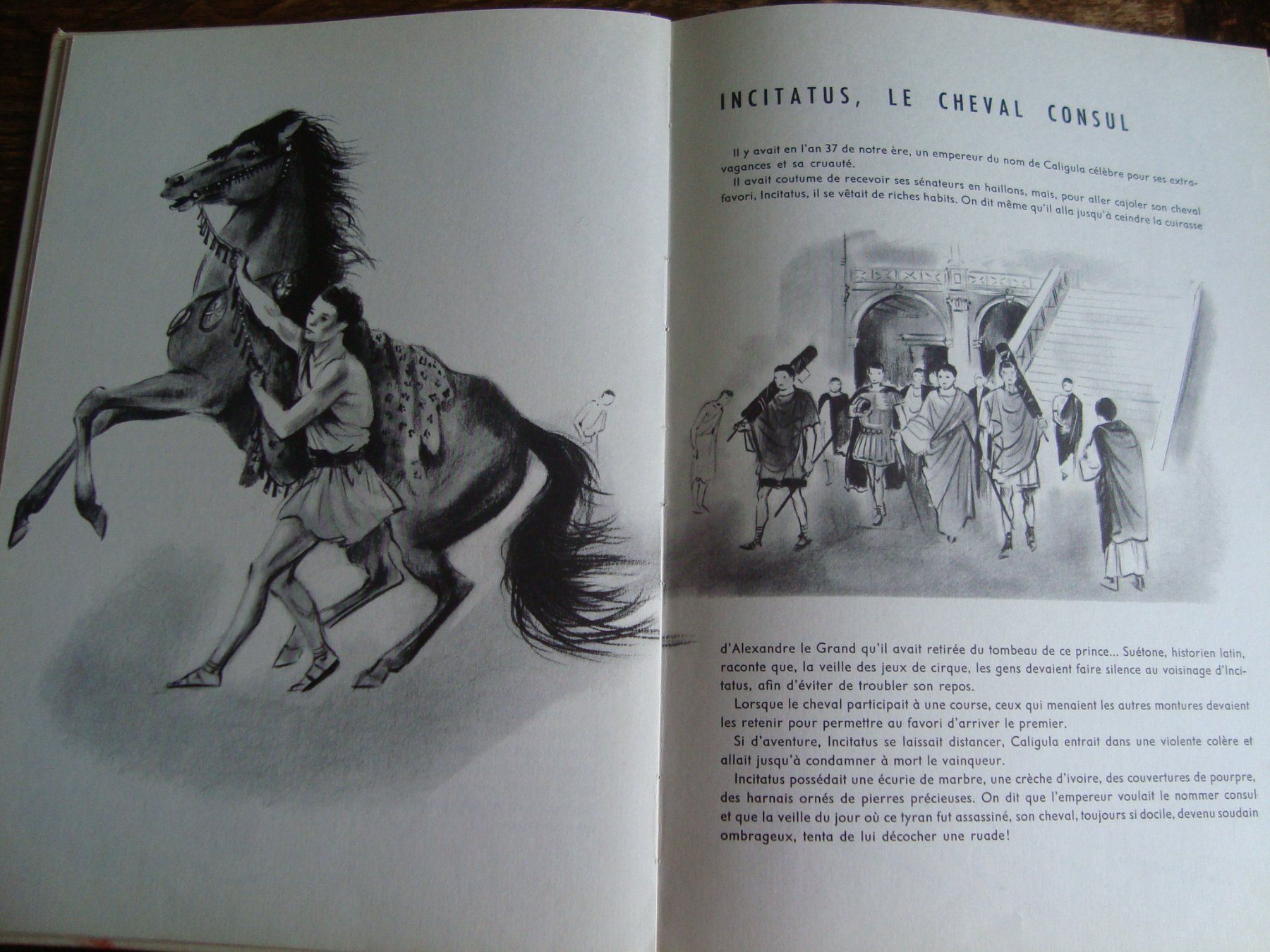 Libri: Animaux célèbres – Usato da Fribourg venduto da ruswil007 1