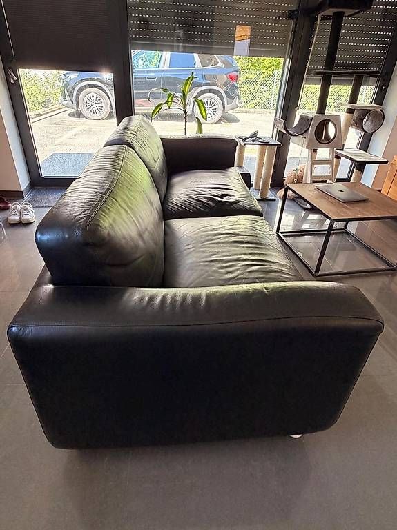 Ligne Roset Divani: Canapé Ligne Roset cuire véritable noir – Usato da Villars-sur-Glane venduto da Fabnath 2