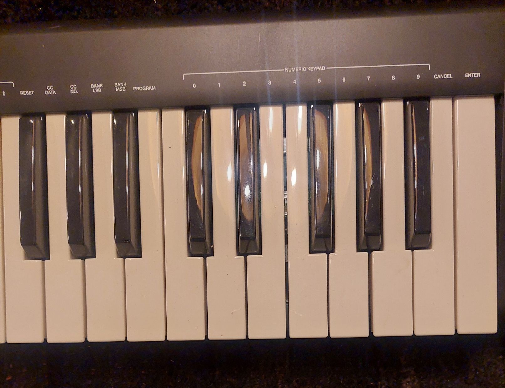 Alesis Strumenti musicali: Klaviatur Alesis Q49 – Usato da Zürich venduto da Cortin 3