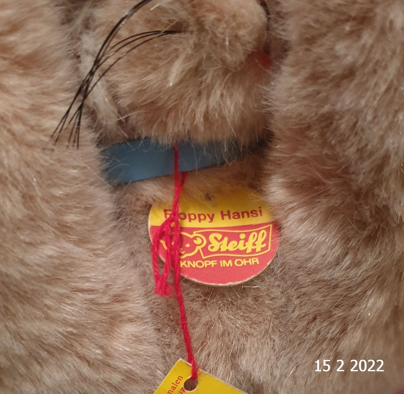 Giocattoli: Steiff Hase Floppy Hansi schlafend – Nuovo (secondo la descrizione) da Basel venduto da The_Onliners 4