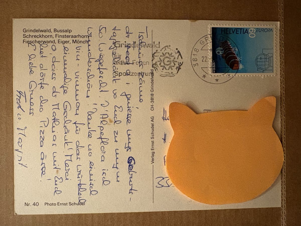 Cartoline postali: AK von Grindelwald – Usato da Rümlang venduto da Kartenpost1 1