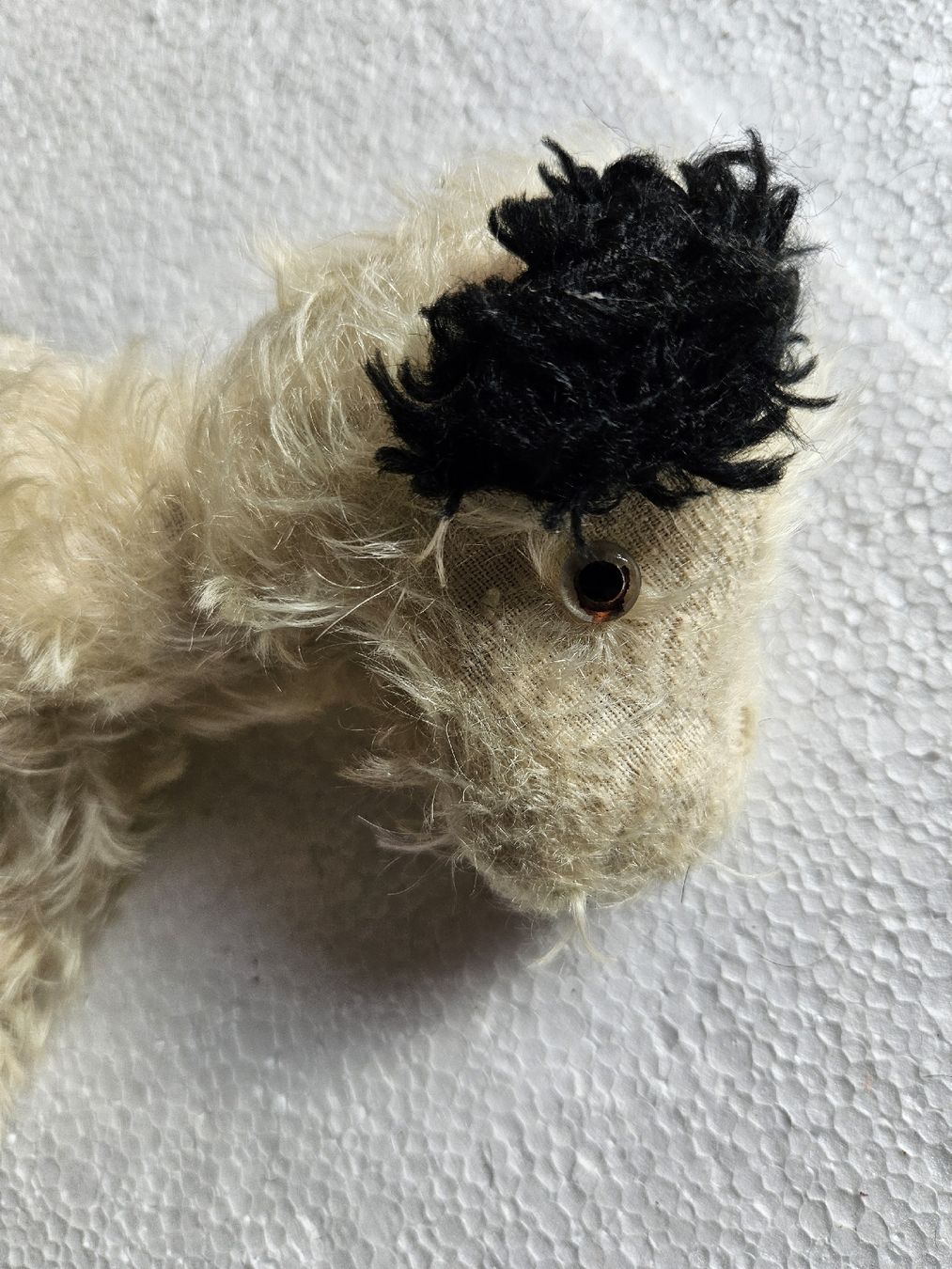 Spielzeuge: alter Hund - Stofftier – Gebraucht aus Haslen GL von Sandra40 3