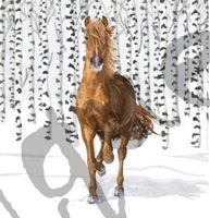 Serviette wilderness horse (1469) 2Stk.