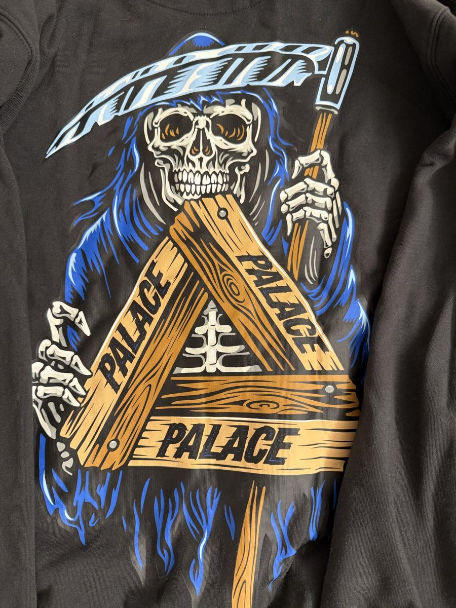 Palace Maglioni & Felpe: Palace Reaper Hoodie  – Usato da Eschen venduto da flo_khp5 2