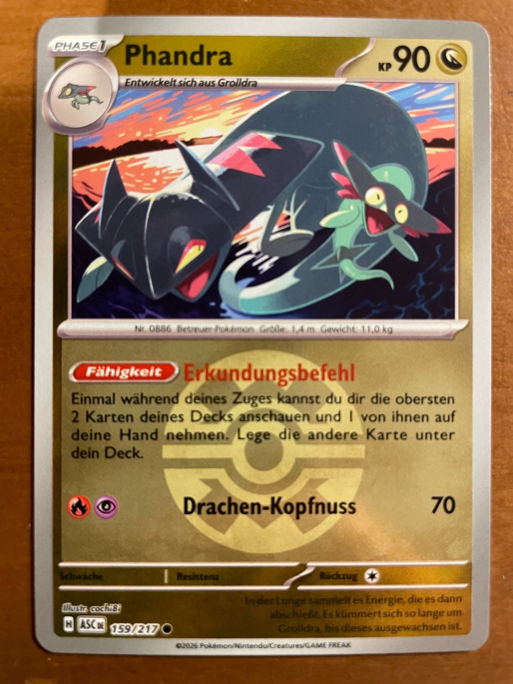 Pokémon Carte collezionabili: Pokemon Phandra Reverse (Versand gratis) – Nuovo (secondo la descrizione) da Chur venduto da Angerson