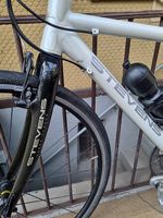 STEVENS Herren Trekking-/Crossbike