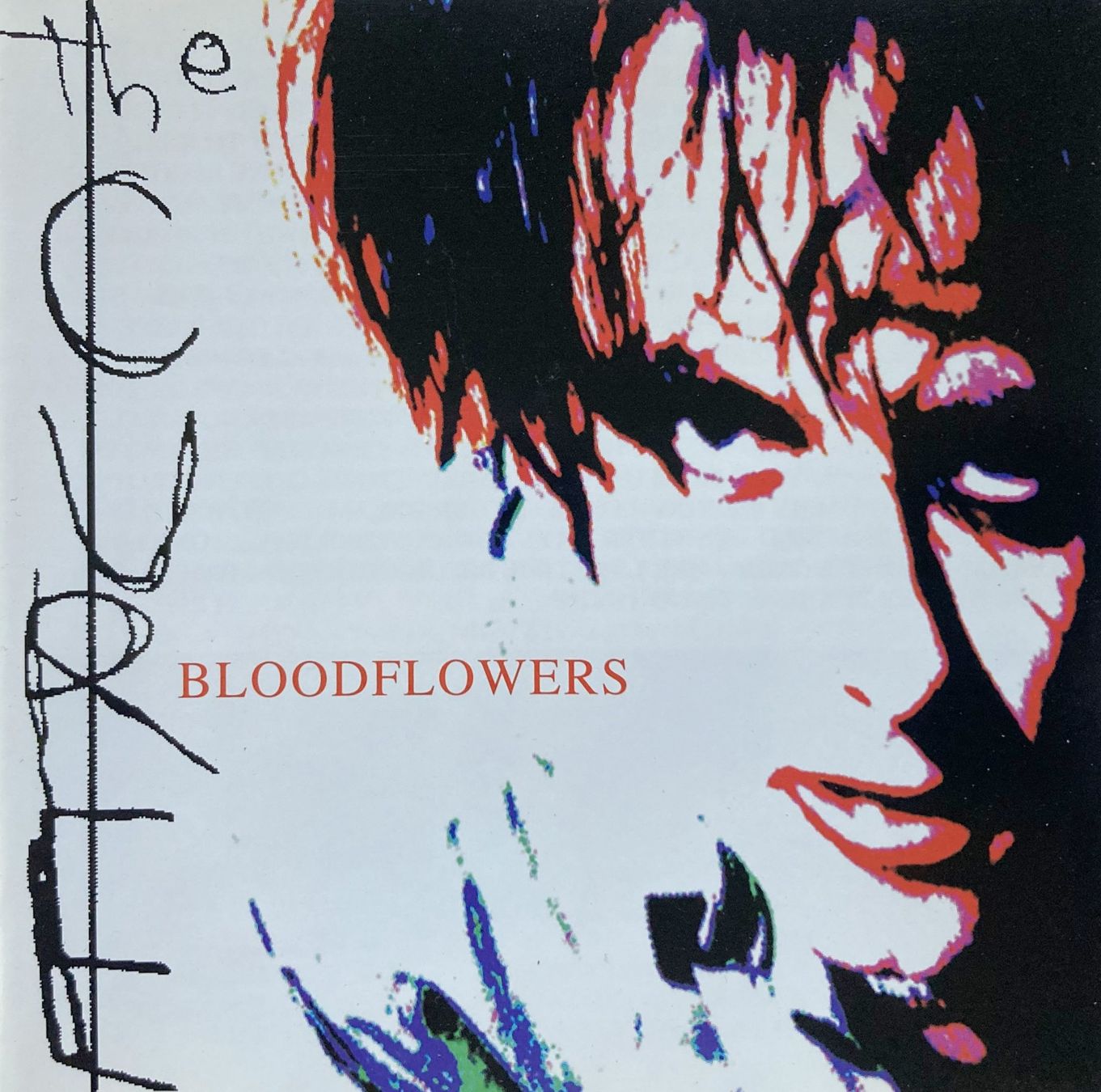CDs: THE CURE - BLOODFLOWERS – Gebraucht aus Bottens von hotter-than-hell