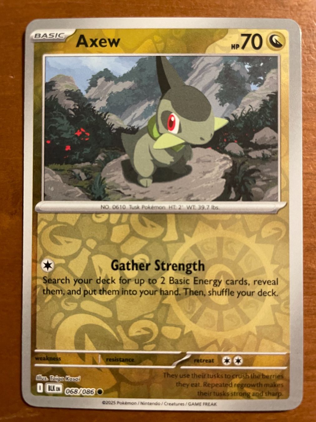 Pokémon Carte collezionabili: Pokemon Axew Reverse (Versand gratis) – Nuovo (secondo la descrizione) da Chur venduto da Angerson
