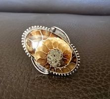 Anello con ammonite fossile, argento sterile, Taglia US 4