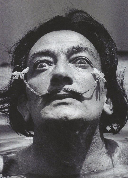 Salvador Dali, Spanischer Maler, Kult! | Kaufen auf Ricardo