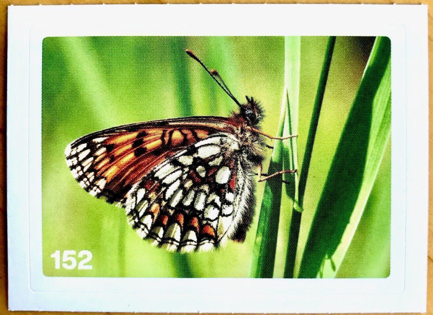 Migros Carte collezionabili: Migros Nature Detectives - Bild Nr. 152 – Nuovo (secondo la descrizione) da Oberrieden venduto da Zimmerberg10