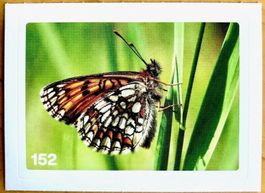 Migros Nature Detectives - Bild Nr. 152