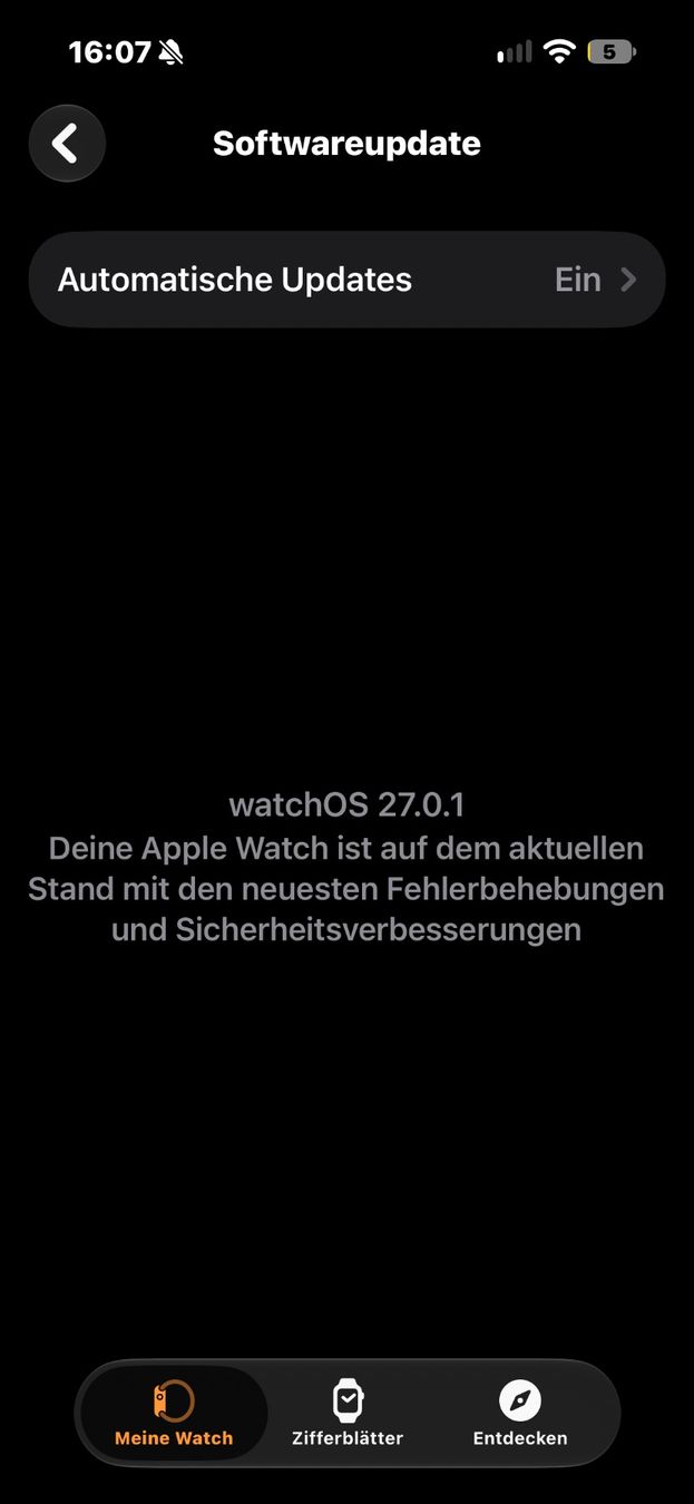 Apple Smartwatch: Apple Watch Serie 10 - silber – Gebraucht aus Affoltern am Albis von Banana00 3