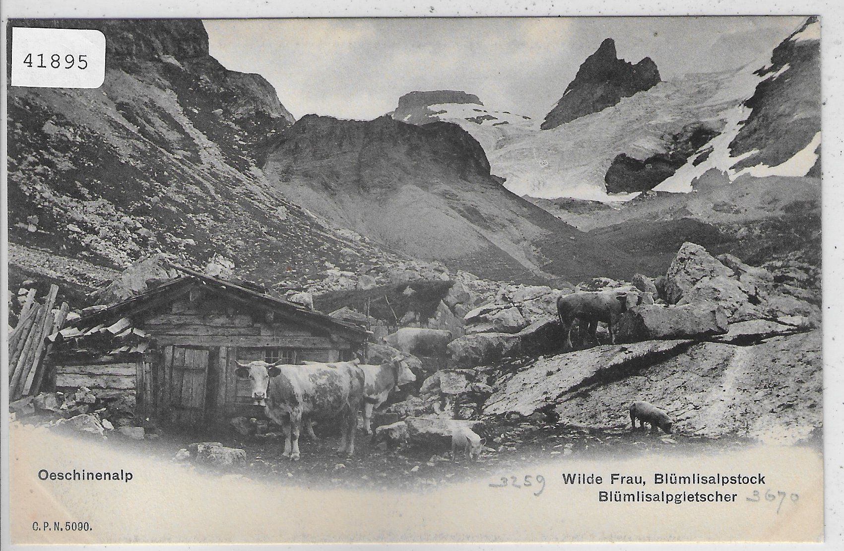 Cartes postales: Oeschinenalp - Kuhherde – D'occasion à Ettingen par Kartenplanet