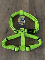 Freezack Hundegeschirr neon 25mm 60-100cm neu