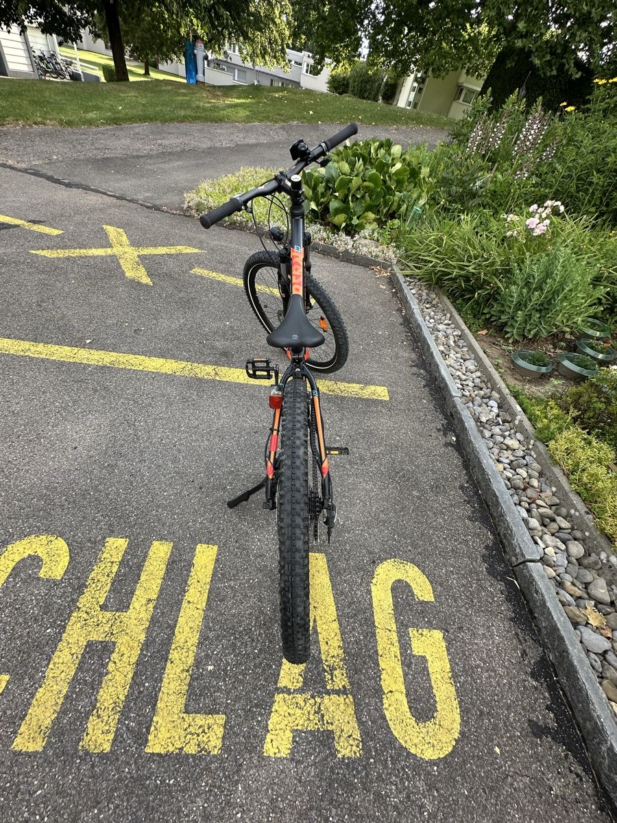 Bergamont Biciclette: Mountainbike Bergamont – Usato da Steinhausen venduto da DANI_888 3
