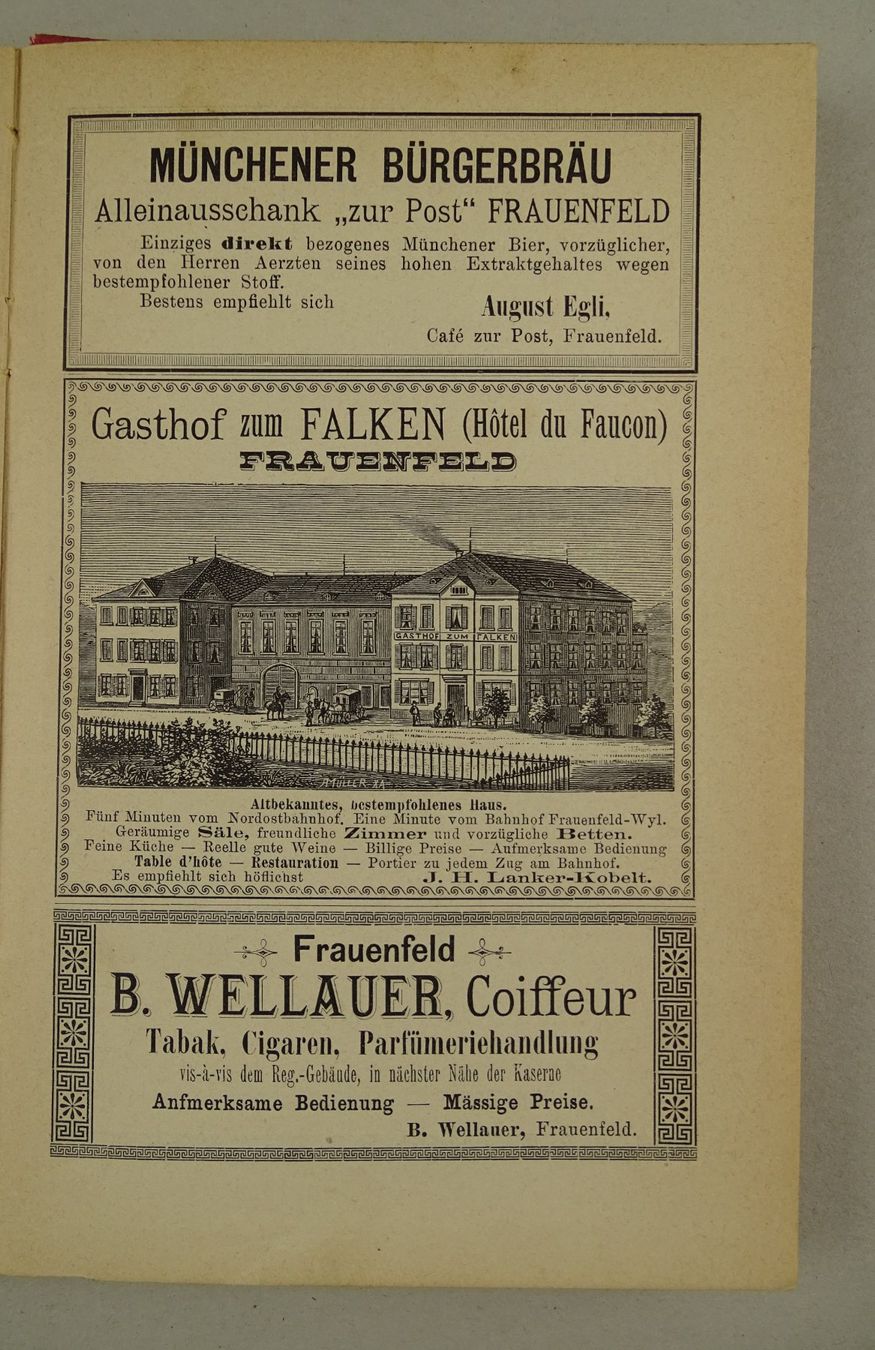 Libri: WANDERUNGEN DURCH DEN THURGAU, 1889 – Usato da Grüningen venduto da Kartensammler 7