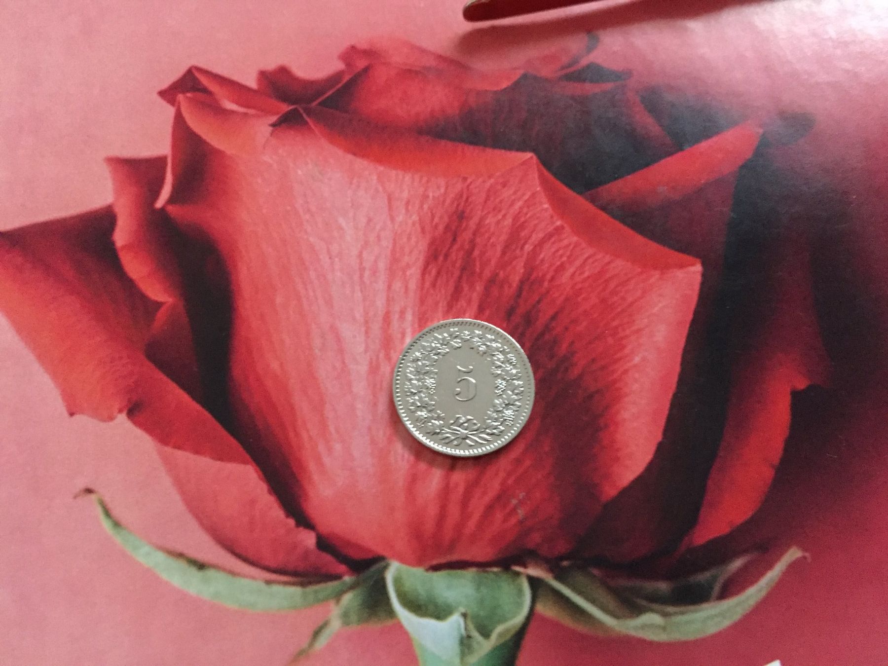 Tutti le monete: 5 Rappen 1977 vz – Usato da Elsau venduto da herbybay 2