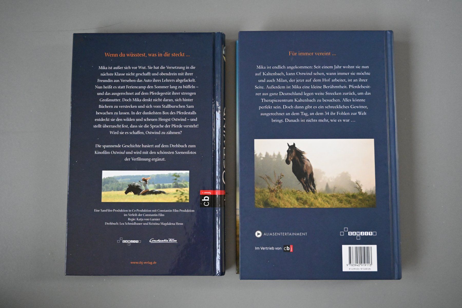 Bücher: Ostwindbücher – Gebraucht aus Dietikon von Bhelbling 1