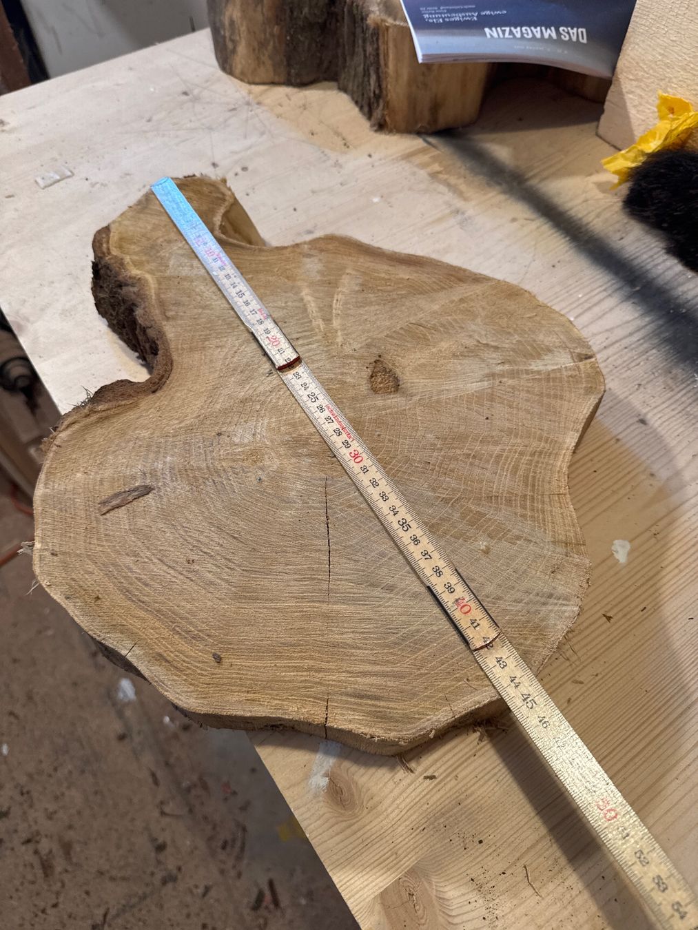 Holzartikel: Rustikale Baumscheibe , Unikate Stücke – Gebraucht aus Brunnen von Holz-style 2