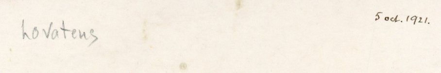 Cartoline postali: Lovatens   VD         en 1921 – Usato da Brig venduto da Valcards54 1