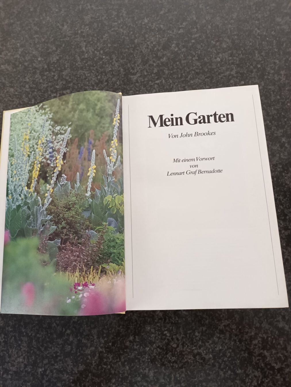 Bücher: Mein Garten – Gebraucht aus Mosnang von Mariso 1
