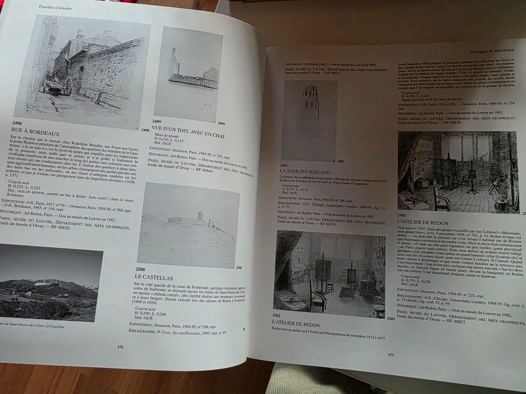 Libri: Odilon Redon - Wildenstein Institute Paris 1998 – Nuovo (secondo la descrizione) da Walterswil BE venduto da Lonitti 6