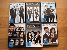 Bones Staffel 1-5 & 7 - DVD Staffel Sammlung