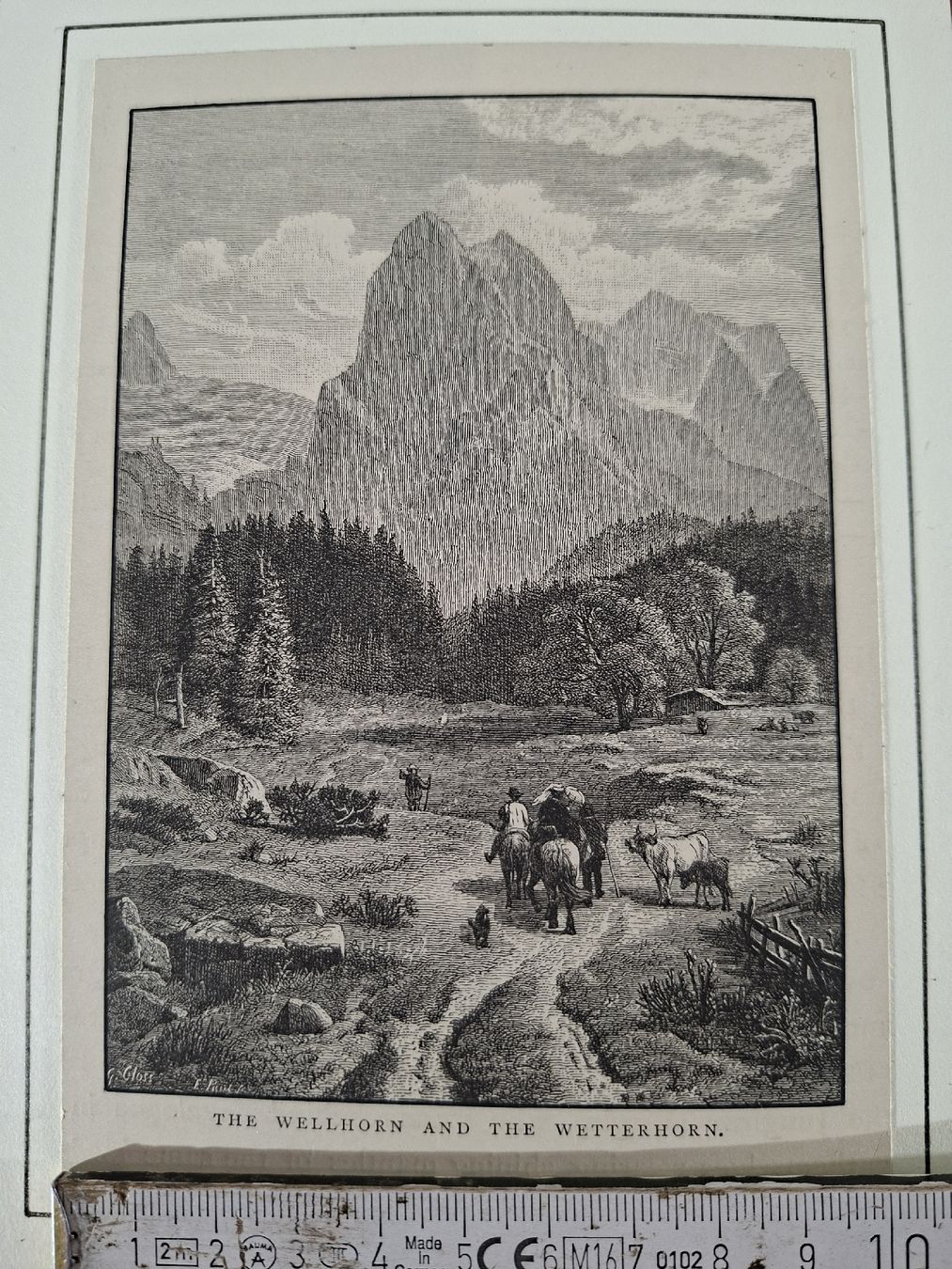 Incisioni: Lot  72 , 10 Stiche  – Usato da Grindelwald venduto da carro5 4