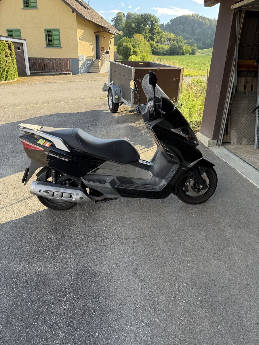 Tell Scooter: Tell Roller 250 – Difettoso da Unterkulm venduto da Vivaespain 2