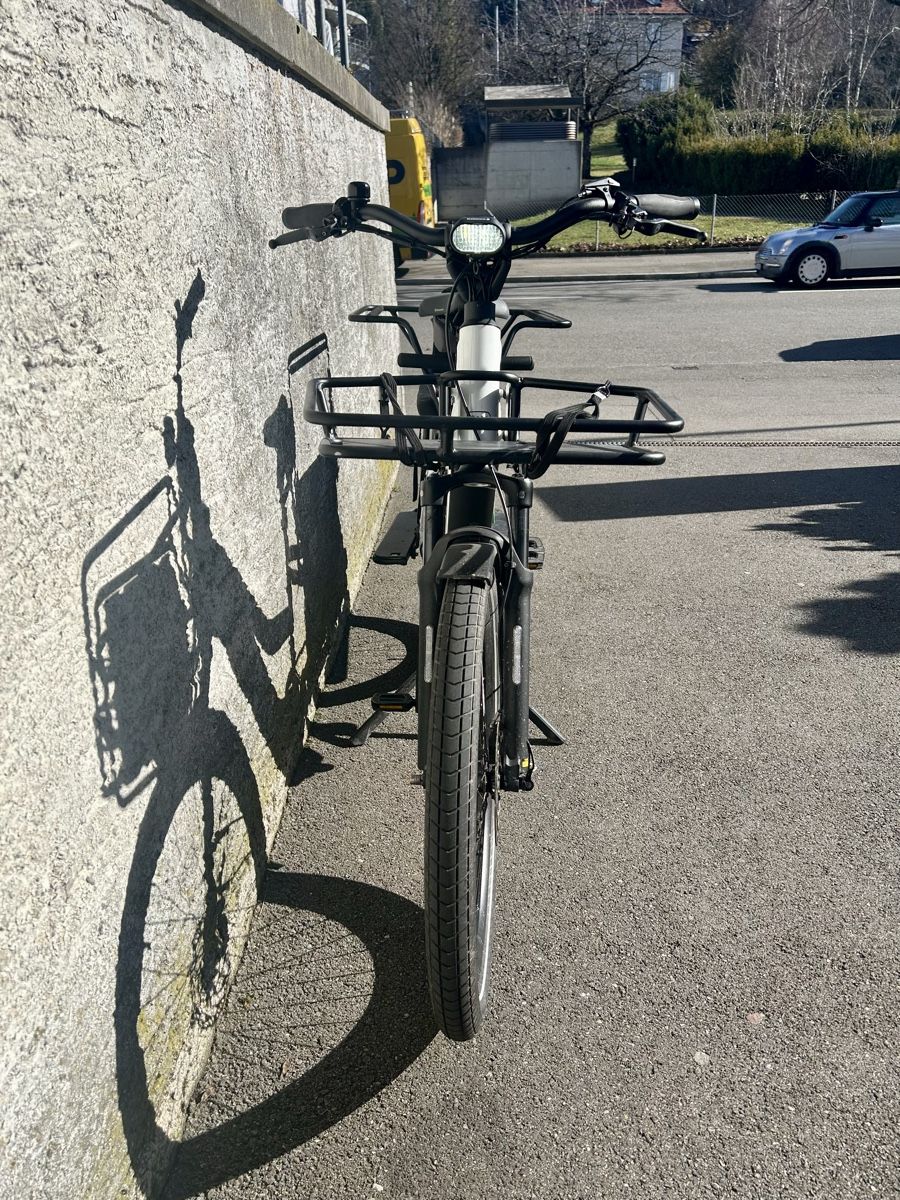 Riese & Müller Biciclette: Riese &  Müller 900km / war gerade im Service – Usato da Zürich venduto da i.andreae 3