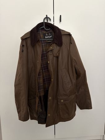 Barbour Ashby