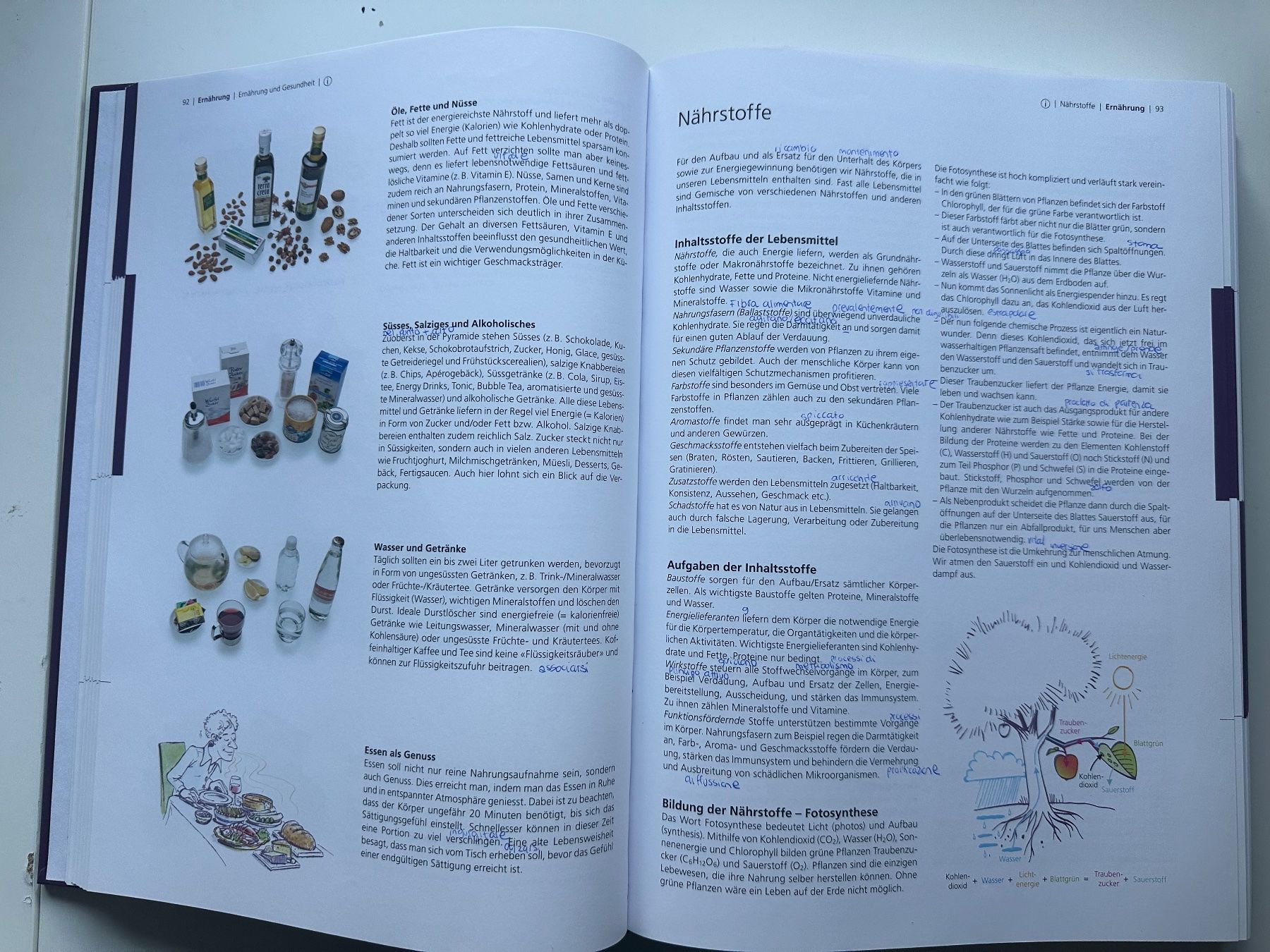 Libri: Pauli Lehrbuch der Küche – Nuovo (secondo la descrizione) da Dietlikon venduto da has_s9fw 2