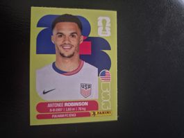 Panini WM 26 USA 7