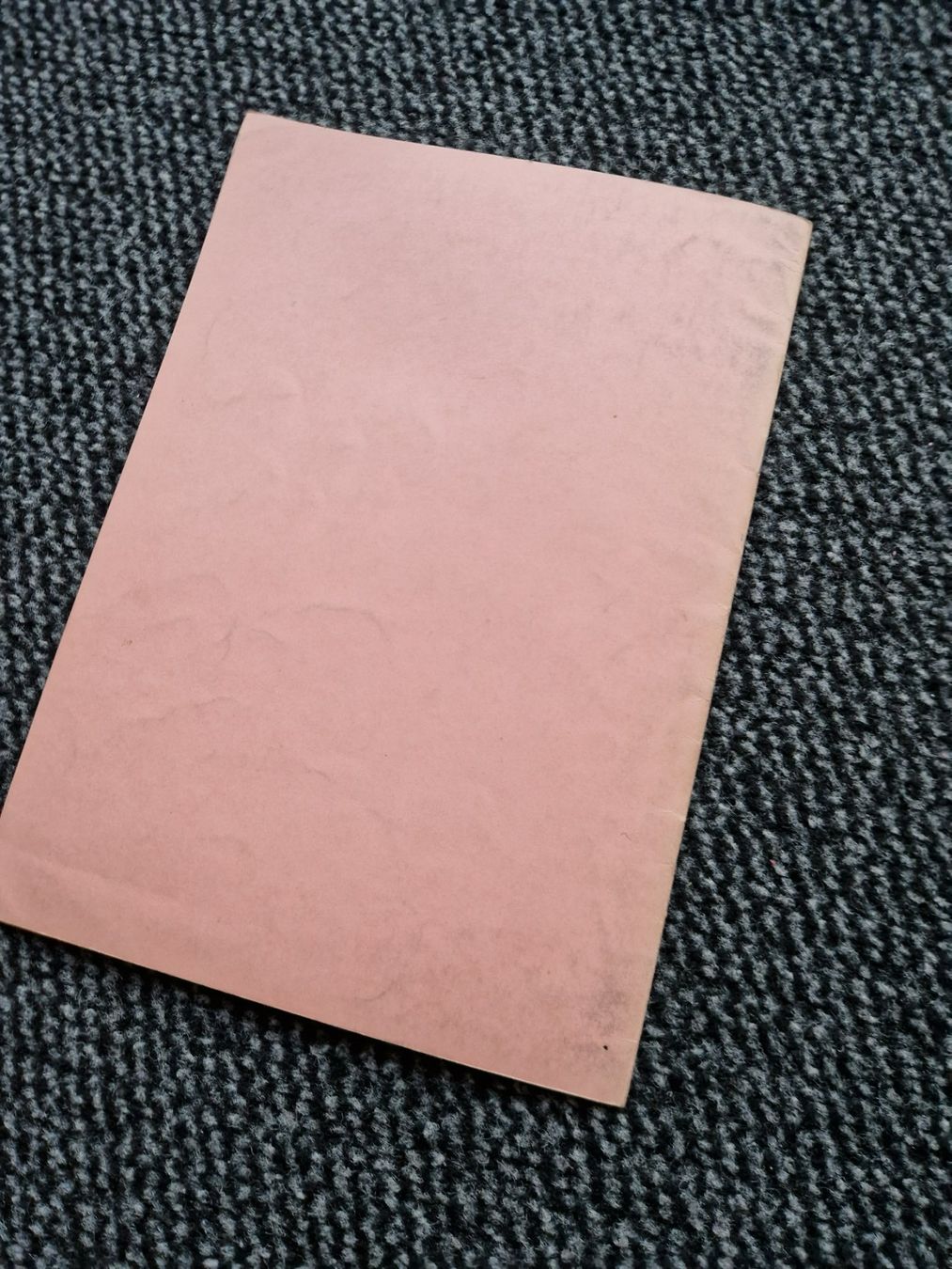 Rapid Trattori: Original Anleitung + ET-Liste Rapid 101 Motormäher – Usato da Dürnten venduto da Bachtel84 6