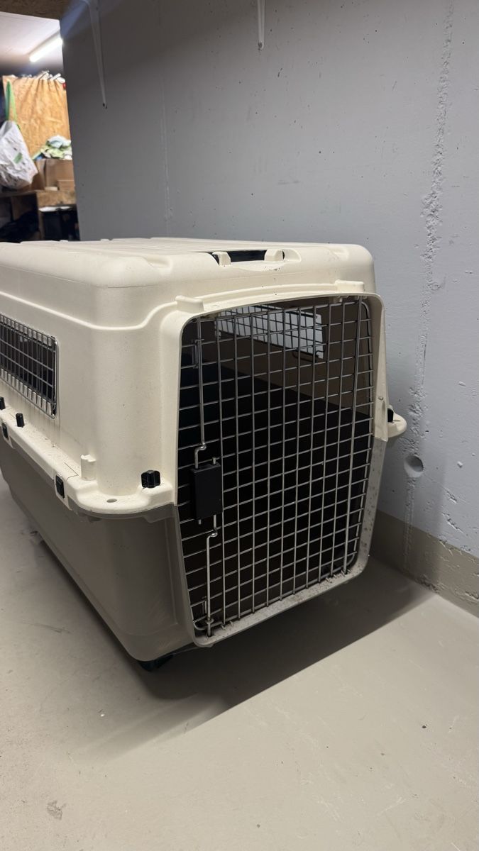 Cucce & Letti: Praktische Hundebox – Usato da Weiningen ZH venduto da proi4o