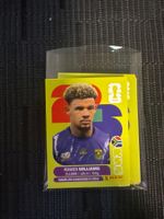Panini Ronwen Williams RSA 2 & viele mehr