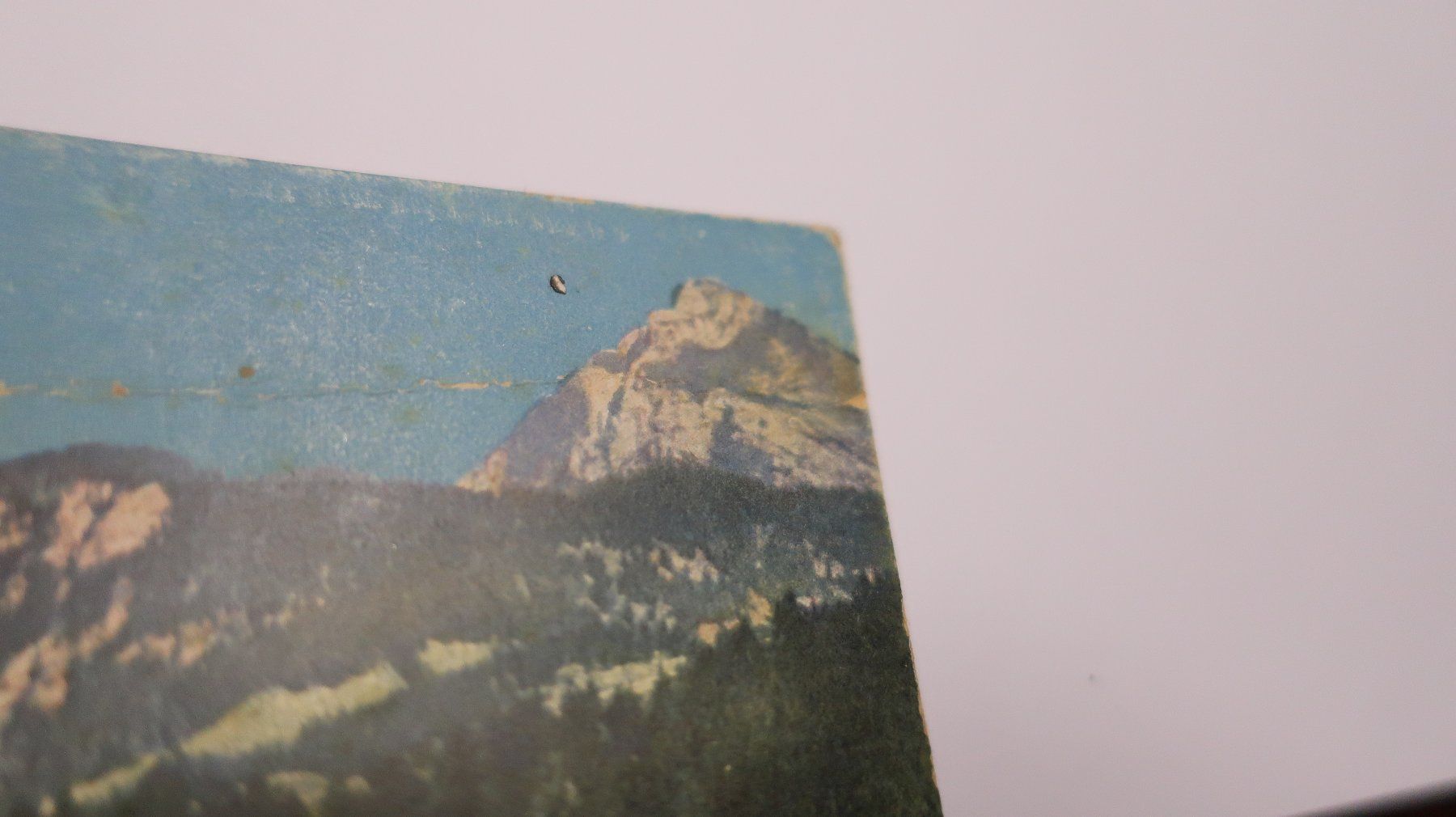 Cartoline postali: Toggenburg Heimetli – Difettoso da Cormoret venduto da Pascalll2001 4
