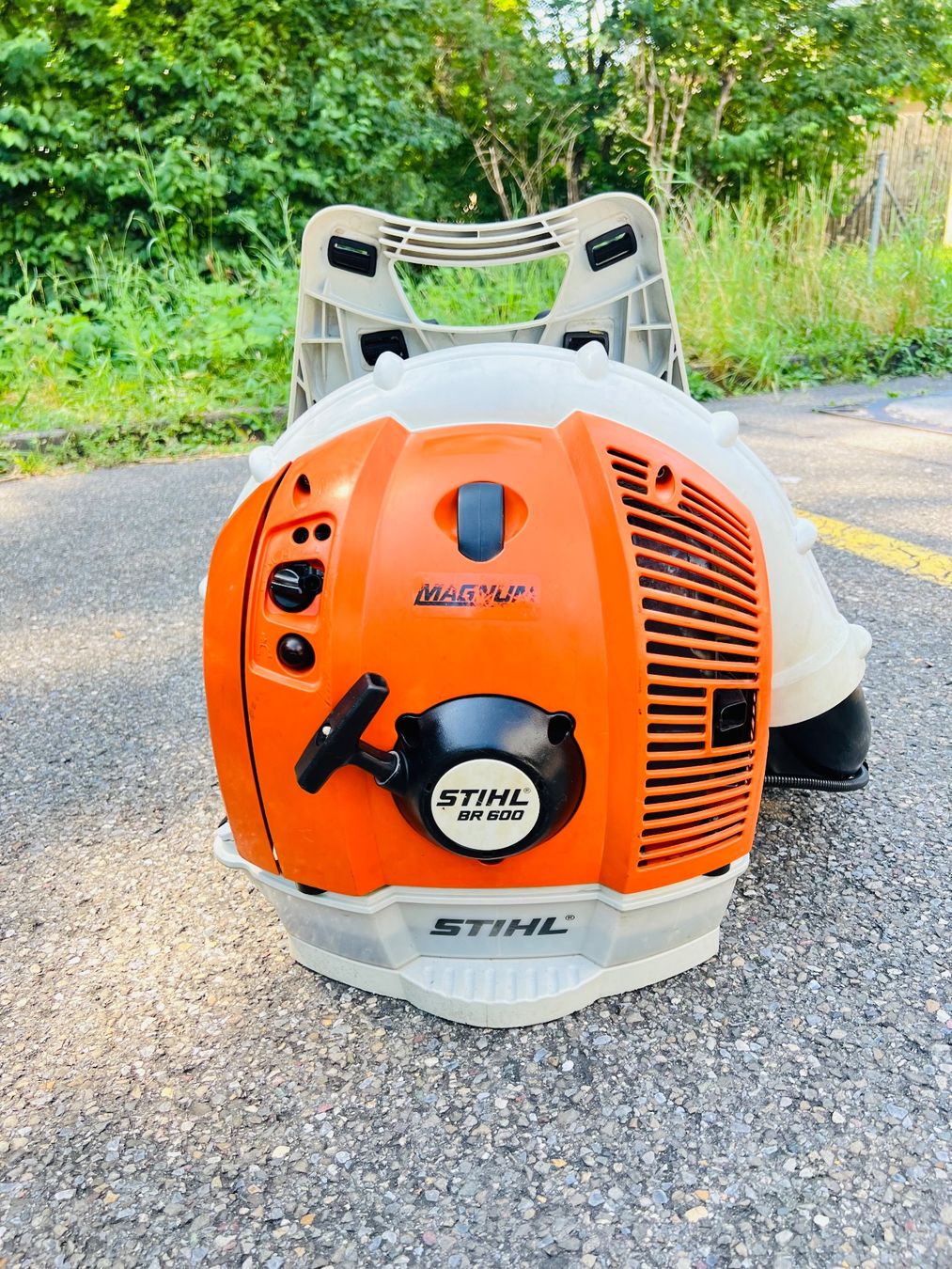 Stihl Laubbläser & Laubsauger: Laubblaser Stihl BR 600 MAGNUM – Gebraucht aus Urdorf von Faz_19