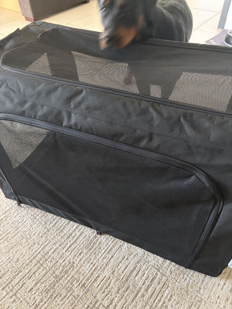 Cucce & Letti: Hundetransportbox Grösse XL – Usato da Glattbrugg venduto da beccihw 2