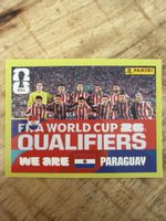 Panini PAR 13