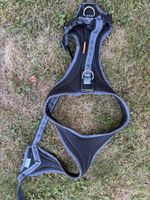 Hundegeschirr Grösse L Edelweiss 